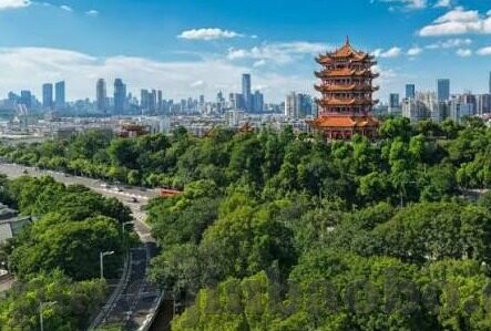 足球 比分 球探-揭秘足球比分背后的球探智慧，如何用数据洞察绿茵场风云